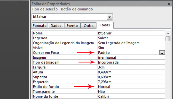 Usando Access - Imagem em botão (lista de propriedades)