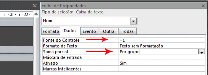 Usando Access - Numerar relatrio