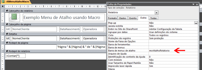 Usando Access - propriedade Menu de Atalho