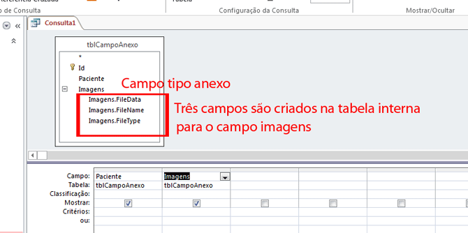 Usando Access - campo tipo Anexo